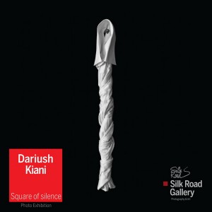 Dariush Kiani3 1 300x300