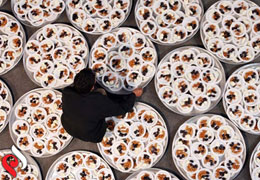 3568 634581452649089759 L