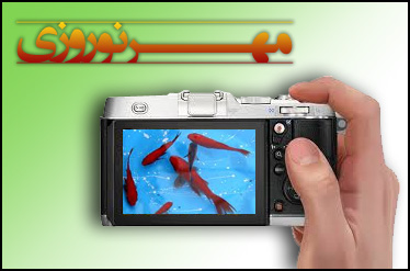اعلام نفرات برتر جشنواره عکس «مهر نوروزی» IMG145810521