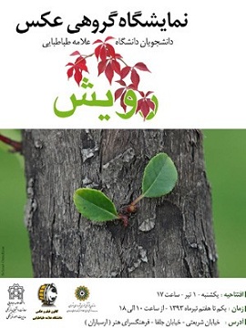 300x400x930331 15B2c3691c8ef638ace5be9febe3506048f5D Jpg Pagespeed Ic KO8zxqfP4K