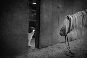 30l1000085 1 300x200