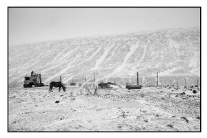 30l1003520 0 300x200