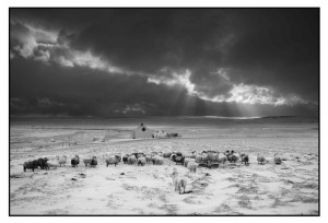 30l1004432 0 300x204