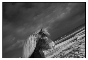 30l1004547 0 300x204