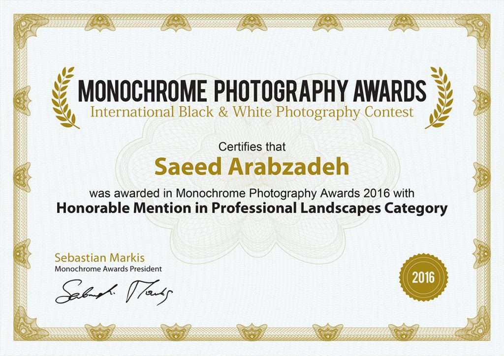 Monoawards Certifcate Saeed Arabzadeh 1024x724